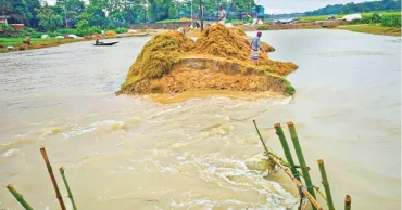 সুনামগঞ্জে বাঁধ ভেঙে ডুবছে ফসল, কাঁদছে কৃষক