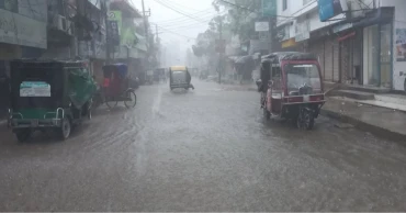 বাগেরহাটে কৃষির জন্য আশীর্বাদ হয়ে এসেছে বৃষ্টি