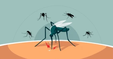 ডেঙ্গুতে বরিশালে একজনের মৃত্যু, সারা দেশে আক্রান্ত ২৬২