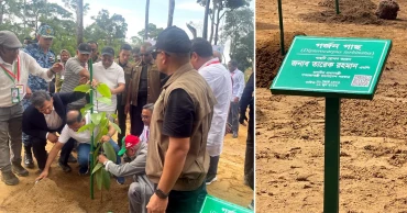 ২৫ কোটি বৃক্ষরোপণ কর্মসূচির উদ্বোধন করলেন প্রধানমন্ত্রী