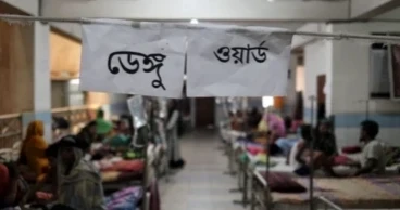 2 more die of dengue, 391 hospitalised