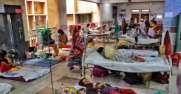 Dengue: 3 more die, 565 hospitalised in 24 hours