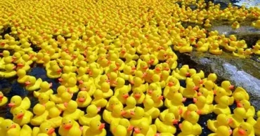 The rubber duck carries traces of American history in its ‘feathers’