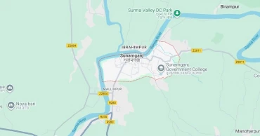 Horse killed for damaging potato field in Sunamganj; farmer detained