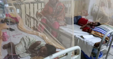 Dengue death toll hits 133 as 3 die in 24 hours