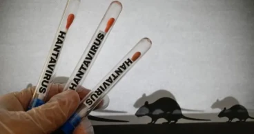What we don’t know about the hantavirus