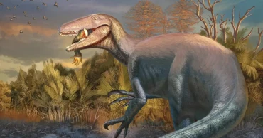 Scientists unearth new dinosaur species in Argentina