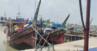 Illegal trawling in Patuakhali threatens marine biodiversity, coastal livelihoods