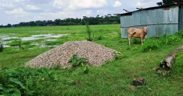 Tk 50 lakh gone, Chandpur culvert nowhere in sight