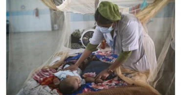 Dengue: 3 more die, 833 hospitalised in 24 hours