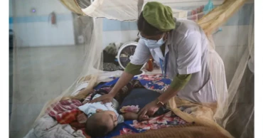 Dengue Crisis: 7 dead; 567 hospitalised in 24hrs