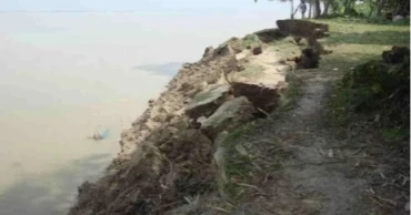 Dakope embankment breach puts 5,000 bighas of Aman paddy at risk