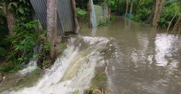 Coastal areas in Chandpur flooded as Meghna swells; fish farmers hit hard
