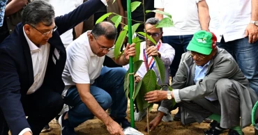 Plant one tree wherever possible, PM urges citizens