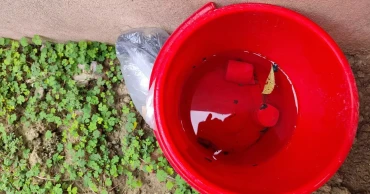 Two hand grenades recovered in Meherpur