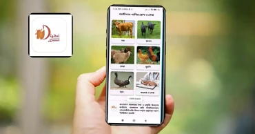 A simple rural app brings veterinary care to Bangladesh farmers’ doorsteps