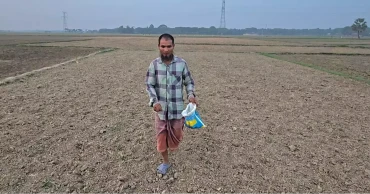 Adverse weather pushes up jute cultivation costs in Faridpur, farmers fear losses