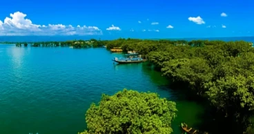 Haor, wetland encroachers to face jail, fine under new ordinance