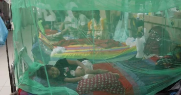 3 more die of dengue, 467 hospitalised