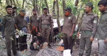 Poacher held with 300 deer traps in Sundarbans