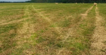 New project to bring over 8,500 hectares of fallow land under cultivation in Ctg