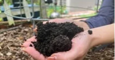 Soil is key to a healthy garden, experts say