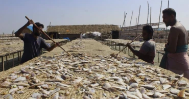 Turning your nose? How ‘shutki’ can be a mainstay of Bangladesh’s robust fisheries export sector
