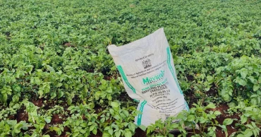 Iran war deepens fertilizer crisis, threatening global food prices