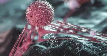 Common sugar may help ovarian cancer cells spread, study finds