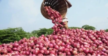 Govt to allow onion import to curb price hike: Commerce Adviser 