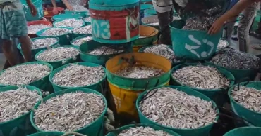 Fishing at Kaptai Lake resumes after 3-month ban