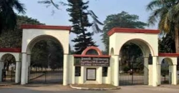 IU on the brink: Teacher shortage jopardises students’ future