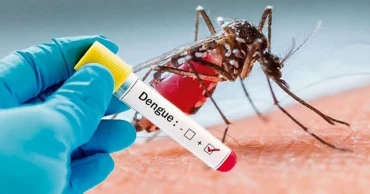 3 more die of dengue, 372 hospitalised