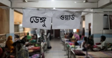 Six more die of dengue, second-highest daily tally this year