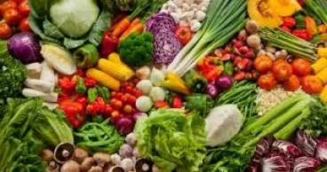 Experts urge boost in allocation for agriculture to ensure food security, curb inflation