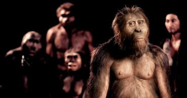 Scientists reconstruct voices of ancient humans from fossils