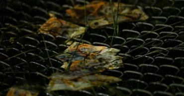 Bolivia military plane crash kills 15 in El Alto