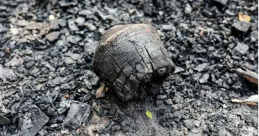 300-350 people sued over arson attack on Chhayanaut building