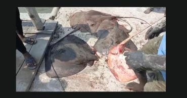 22 fishermen held for entering Sundarbans illegally