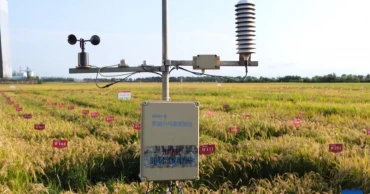 Digital technology and smart machines reshape farming in China's northeast granary