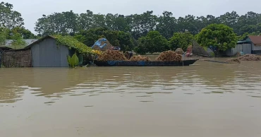 Low-lying areas inundated as Chapainawabganj rivers swell, 4,350 families stranded