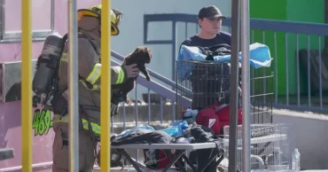 Hundreds of animals killed in Dallas shopping center fire
