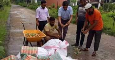 Counterfeit goods flood Bangladesh; is BSTI asleep?