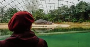 Berlin Zoo offers special dementia-friendly tours, bringing joy to visitors and families