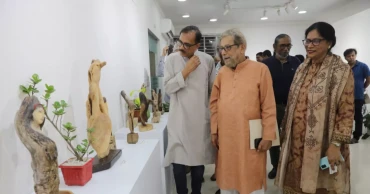 Driftwood art exhibition by sculptor AA Rasha inaugurated in Dhaka's Dhanmondi