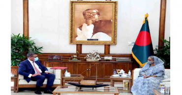 We expect UK to promote interests of climate vulnerable countries: Hasina