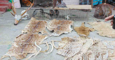 Illegally exhibited animals rescued from Bagerhat Park