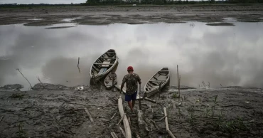 Climate change is reducing oxygen in rivers worldwide, threatening fish: study