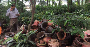 DNCC drive: Aedes larvae found at 153 houses, establishments