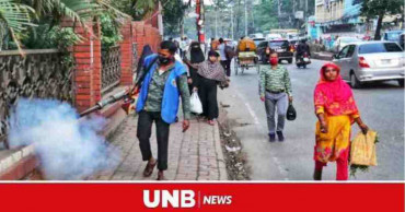 Dengue: 176 new cases reported